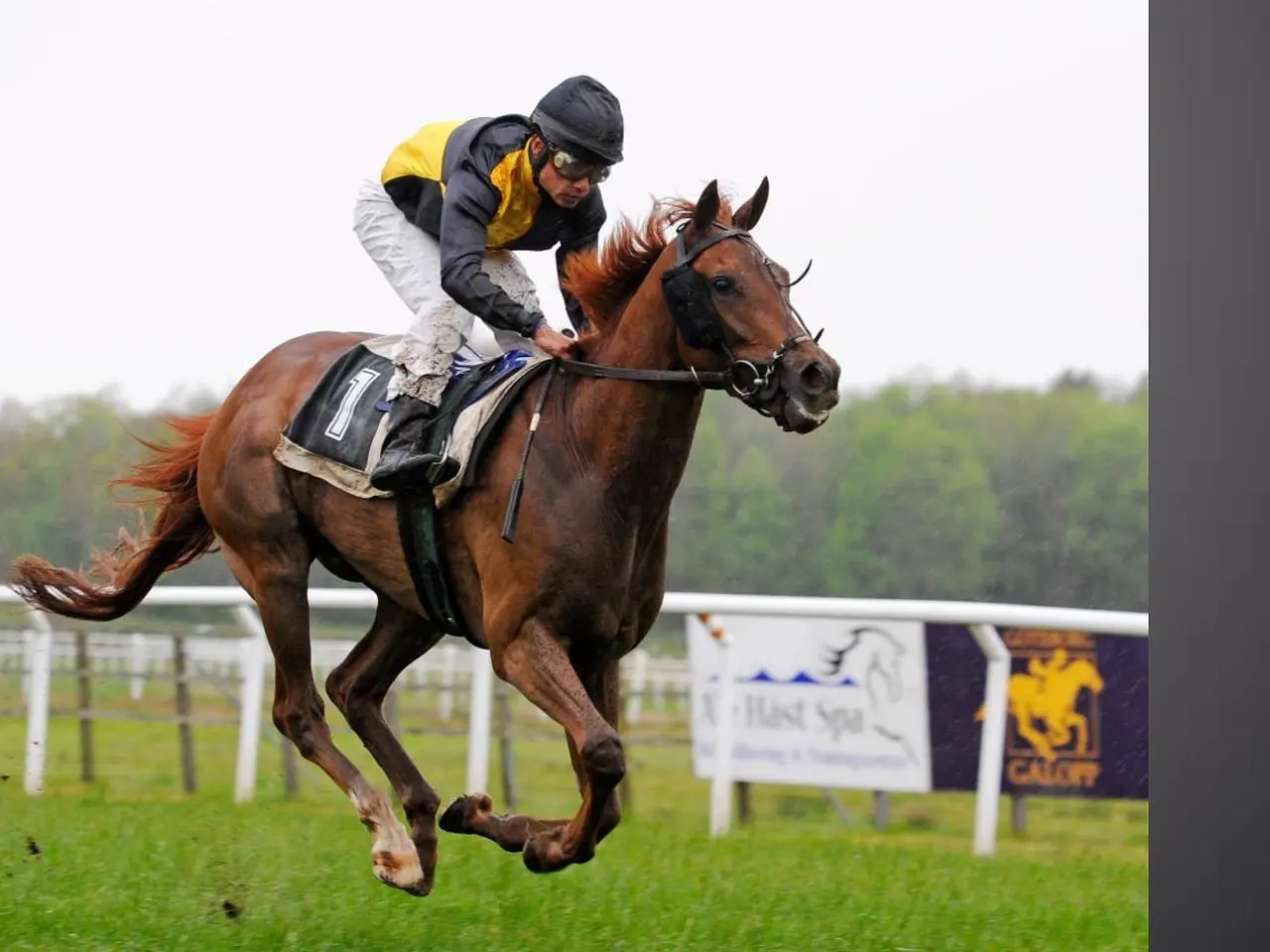 Jockey i fuld fart