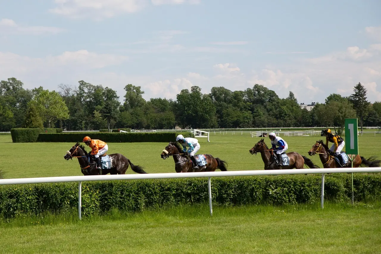 Heste med jockeys på væddeløbsbane